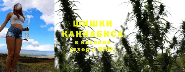 мескалин Бородино