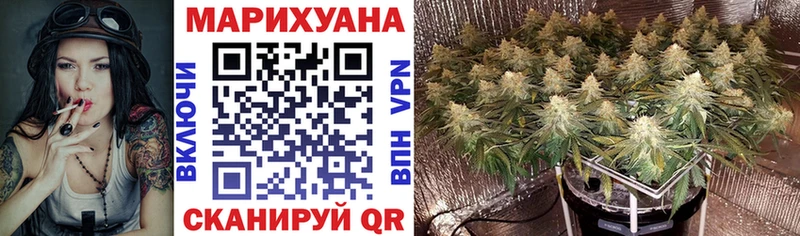 закладка Мытищи Бошки Шишки планчик